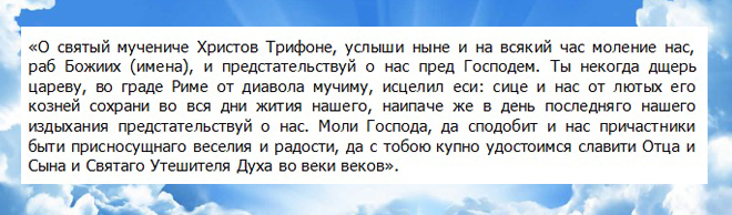 Молитва о пропаже. Молитва святому мученику Трифону. Молитва святому Трифону о работе. Молитва мученику Трифону о работе.